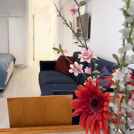Domus Lucis Apartment